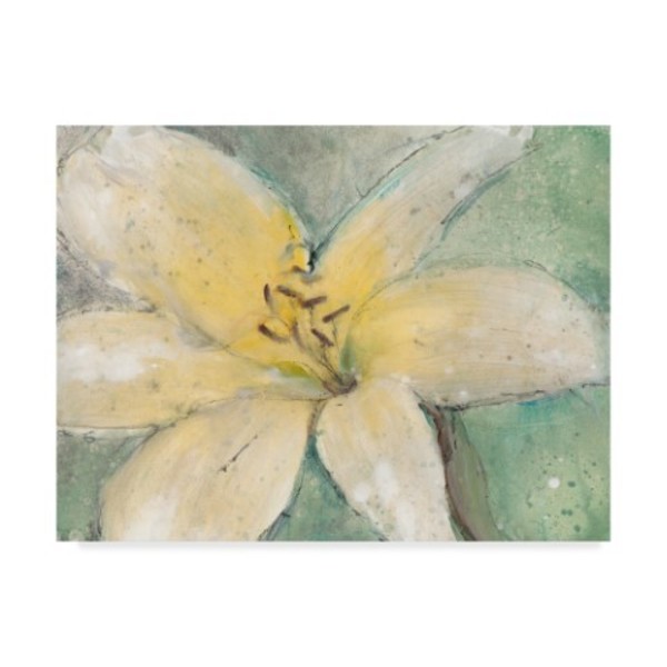 Trademark Fine Art Tim Otoole 'Floral Spirit Iii' Canvas Art, 24x32 WAG01113-C2432GG